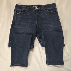 Democracy Ab Solution Ankle Skimmer Indigo Jeans Women's 16 Stretch Denim Casual